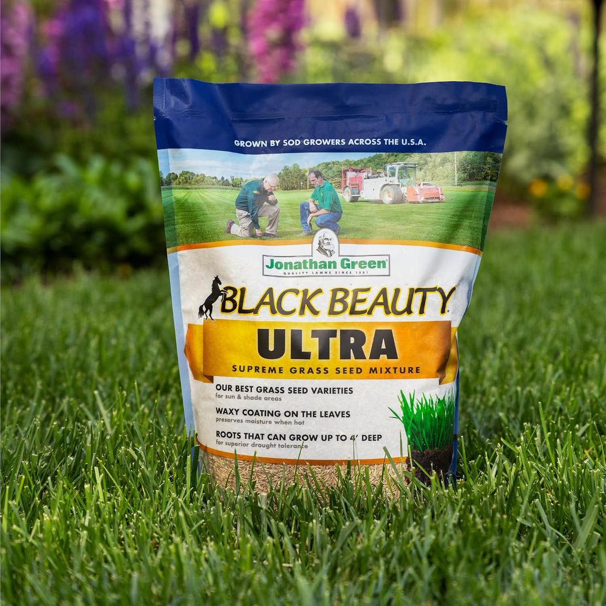 Black Beauty Ultra Grass Seed - 7 Lb
