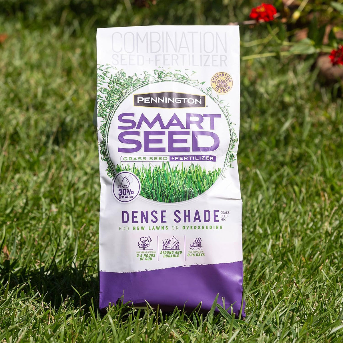 Smart Seed Dense Shade Mix Grass Seeds for Lawn, 7 Lb