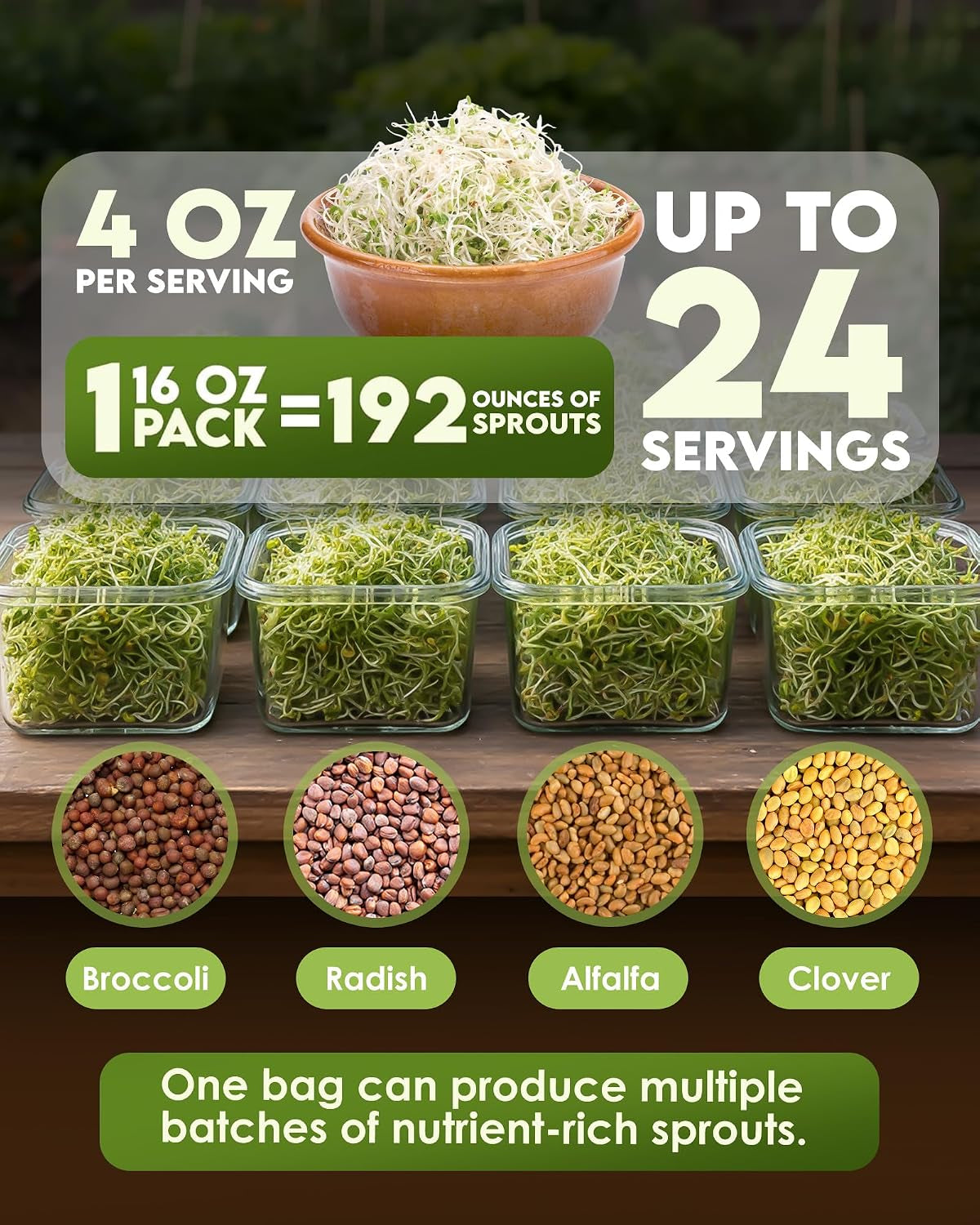 Nature Jim'S Sprouts Salad Mix – Broccoli, Alfalfa, Clover, Radish, 1Lb