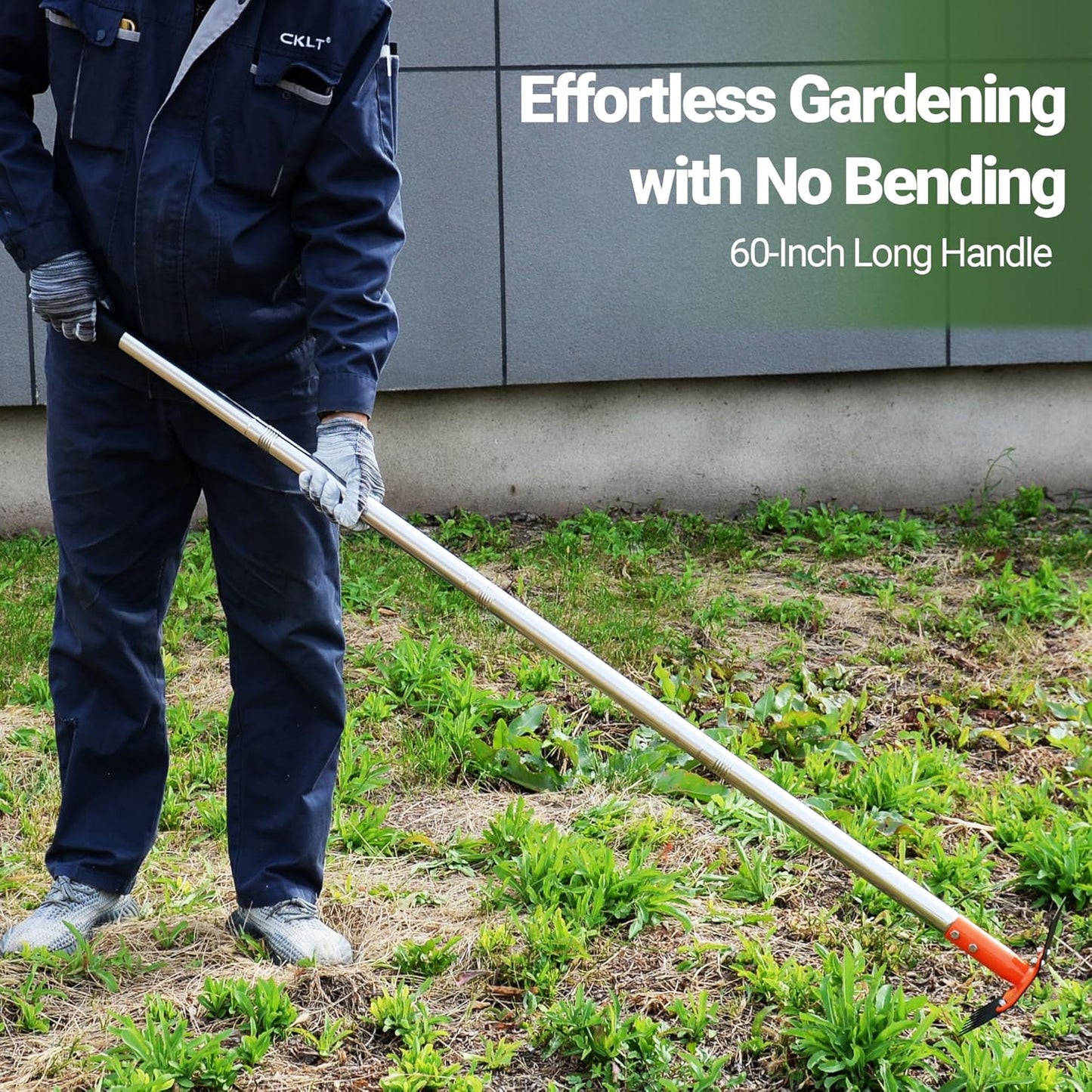 2-In-1 Garden Hoe and Weed Puller Rake 60 Inch Spring Steel Head Adjustable Long Handle Weeding Tool Heavy Duty Sand Texture Finish, Weed Remover for Garden, Yard, Lawn, Driveway