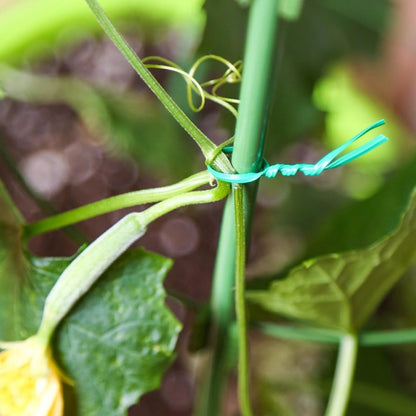 Garden Plant Ties 30M with Cutter, Reusable Garden Twist Ties Multi-Purpose for Climbing Plants Tomatoes Vines Cable Organizing Home Office(M)