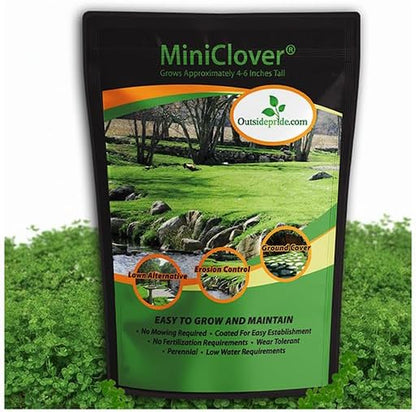 Perennial White Miniclover Seed - 1 Lb. Dwarf, Small-Leaved, Drought & Wear-Tolerant Micro Clover Seeds for Lawn, Ideal Low-Maintenance & Easy to Grow Ground Cover Seeds for Home Yard