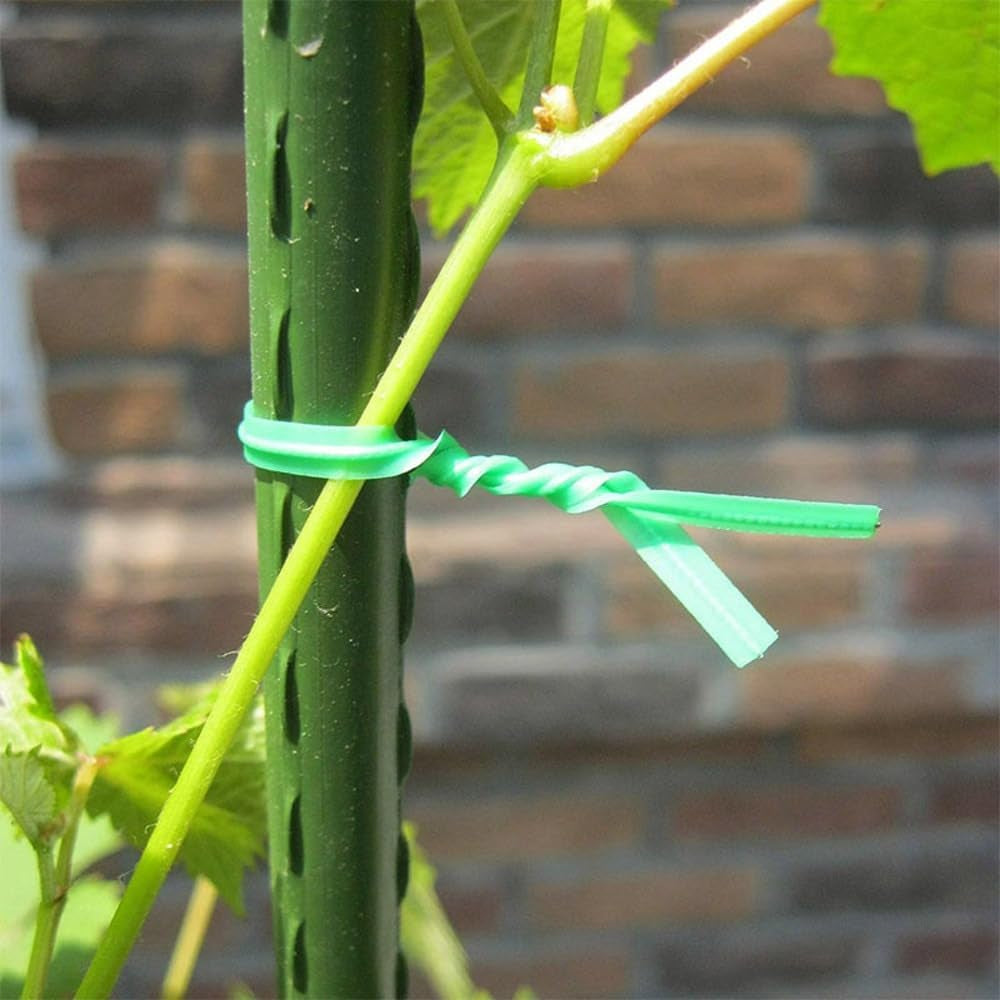 Garden Plant Ties 30M with Cutter, Reusable Garden Twist Ties Multi-Purpose for Climbing Plants Tomatoes Vines Cable Organizing Home Office(M)