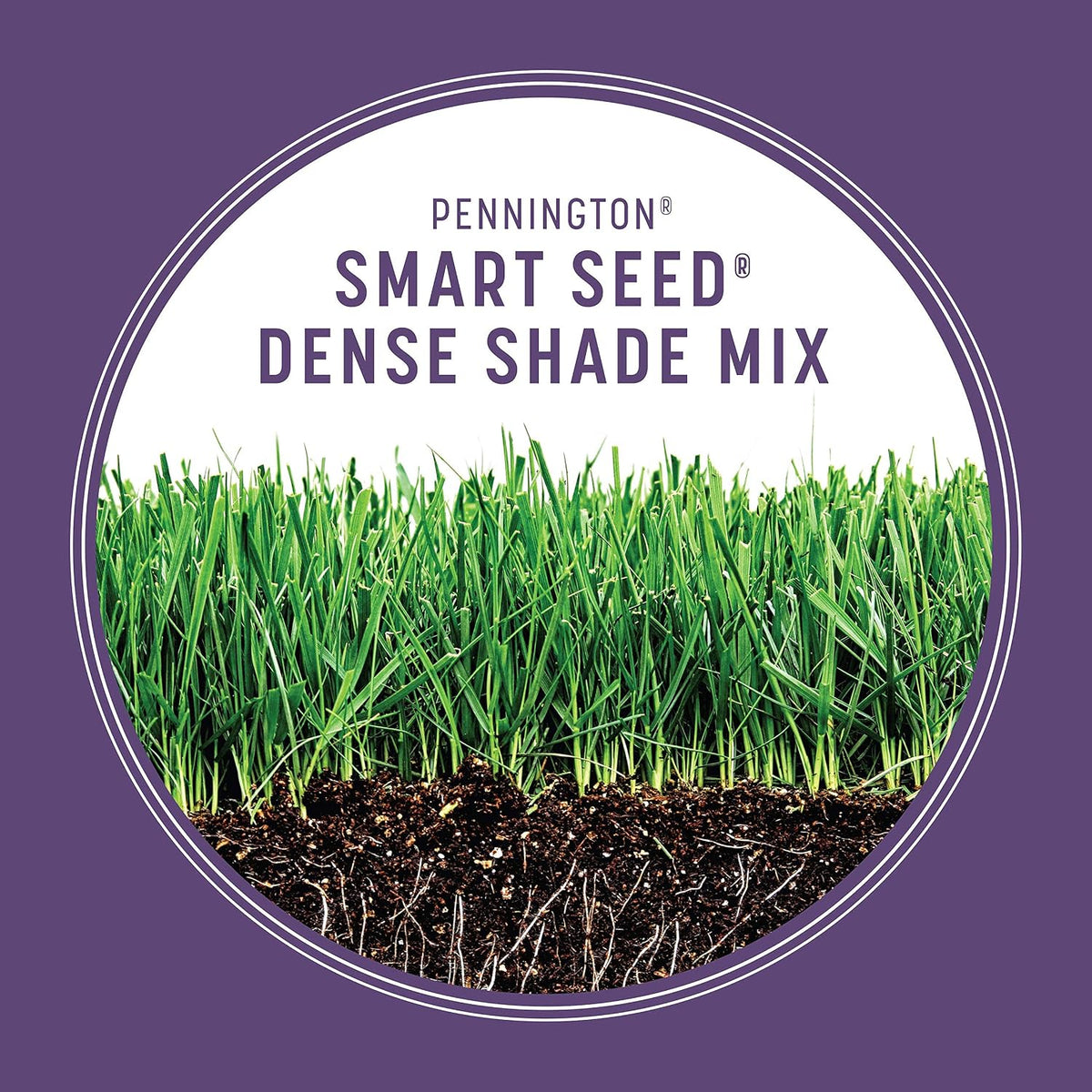 Smart Seed Dense Shade Mix Grass Seeds for Lawn, 7 Lb