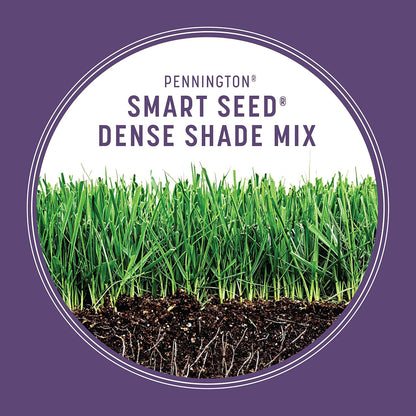 Smart Seed Dense Shade Mix Grass Seeds for Lawn, 7 Lb