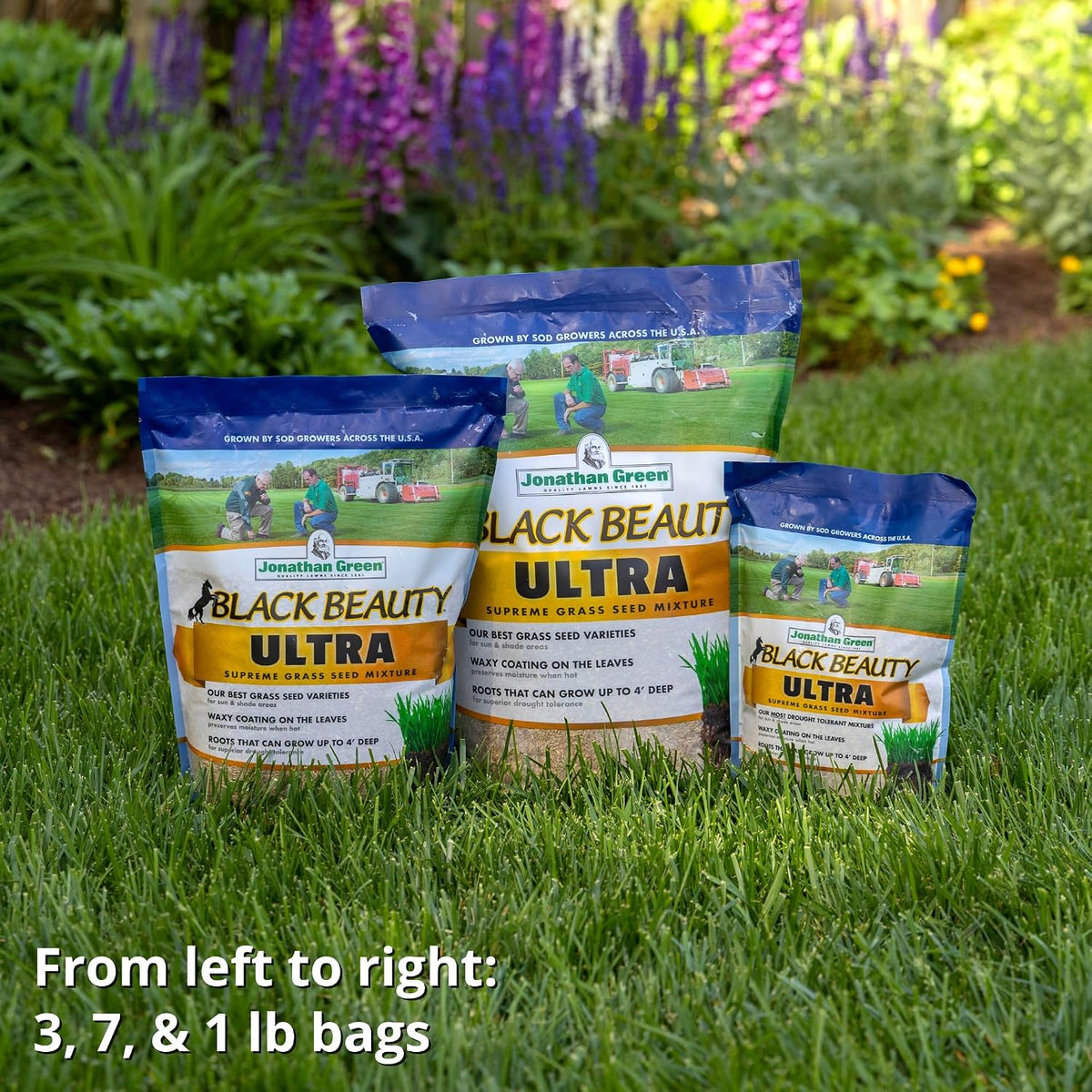 Black Beauty Ultra Grass Seed - 7 Lb